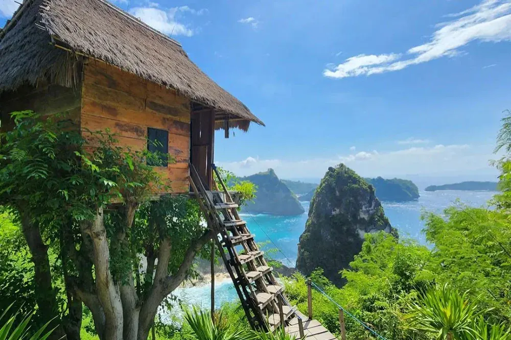 visit amazing tree house on east nusa penida tour or mix nusa penida tour for best experiences